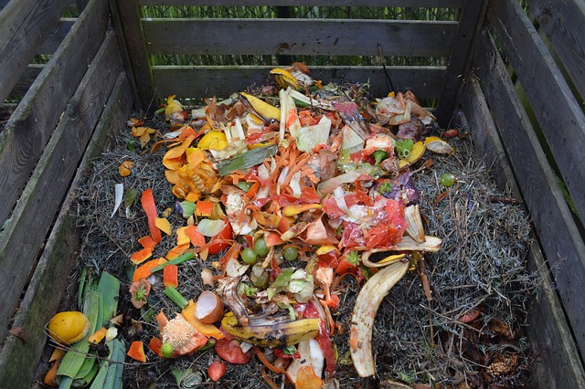 kompost ve dřevě