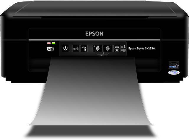 Malá černá tiskárna Epson